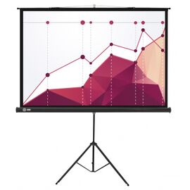  Экран Cactus 180x180см Triscreen CS-PST-180x180 1:1 напольный рулонный белый 